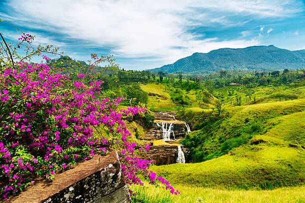 Kandy → Nuwara Eliya